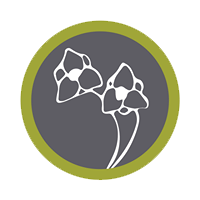 Dream Gardens - image 1