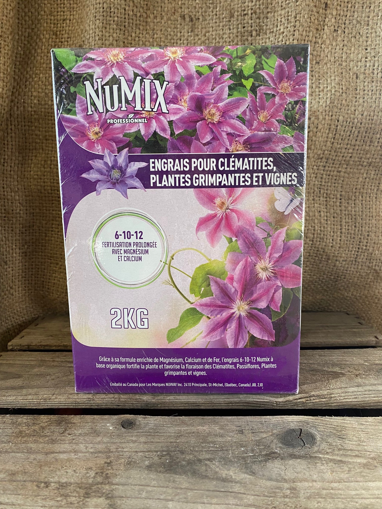 best fertilizer for clematis plants Clematis, Climbing Plants & Vines Fertilizer 6-10-12 – champsdereves