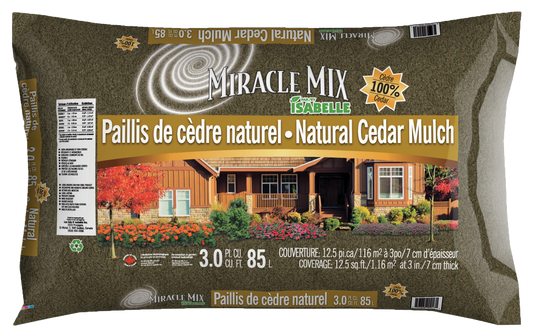 Paillis de cèdre naturel