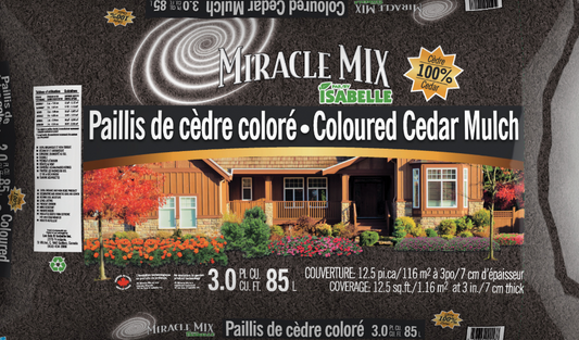 Paillis de cèdre noir