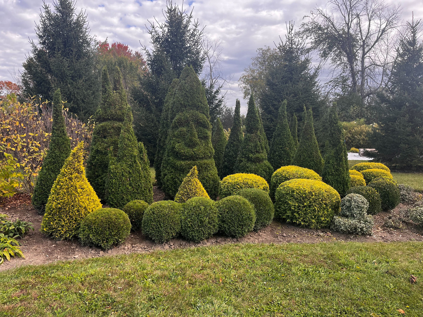 Pass Jardin et Mini-Putt Tout Inclus