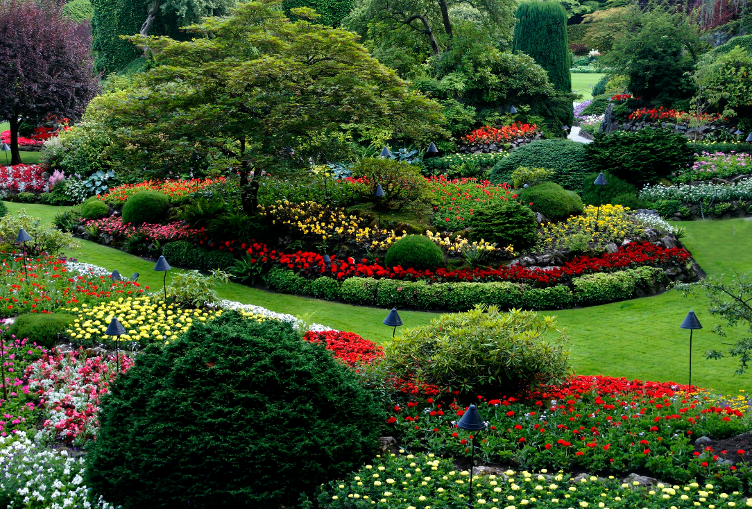 Landscaping – champsdereves