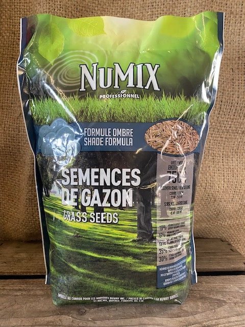 Numix Grass Seeds